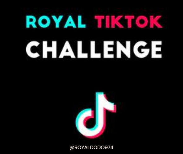 Tik Tok Challenge by SSKYRON